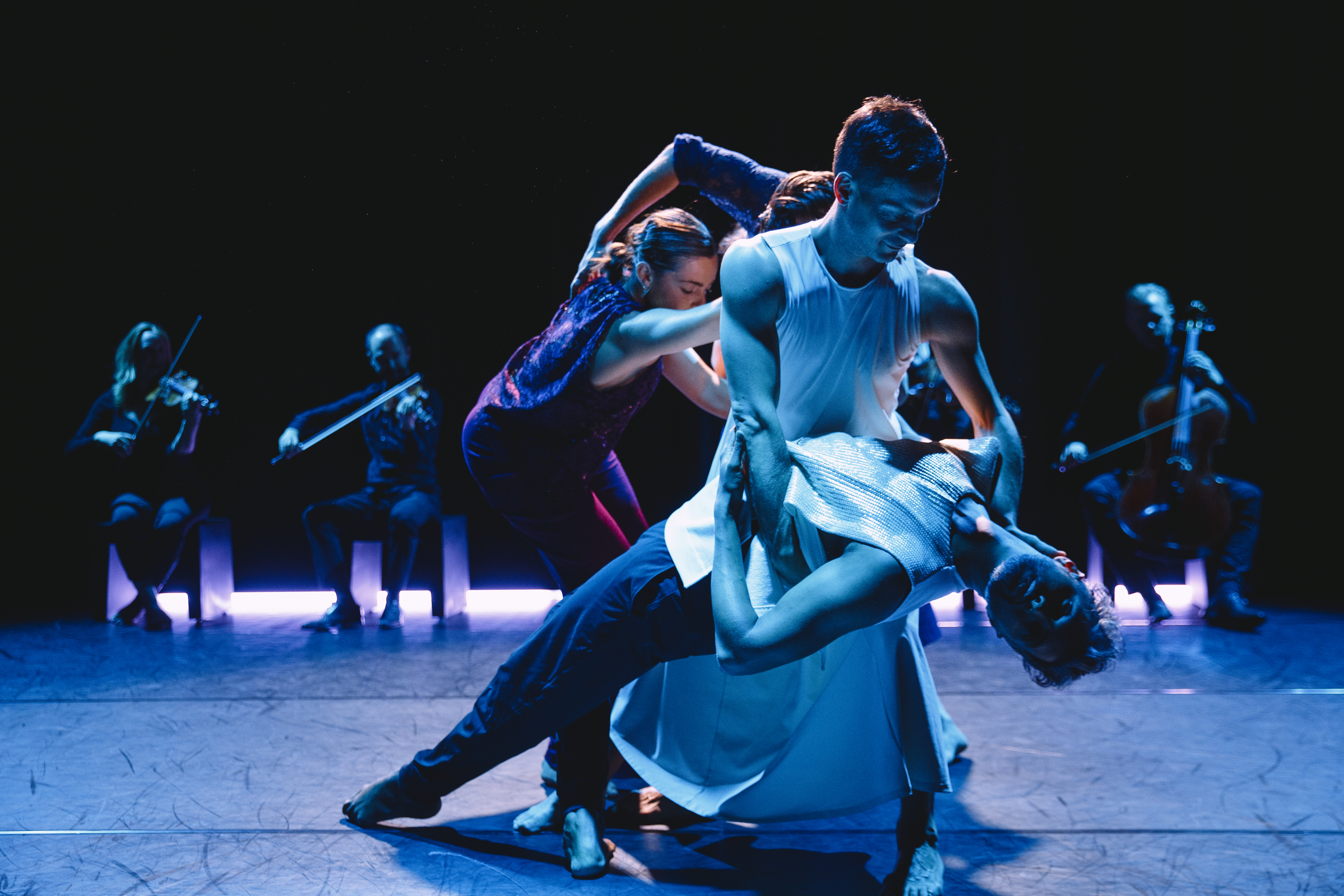 Buitenlandse voorstellingen of concerten in Nederland