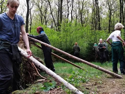 WEGWEZEN of Hoe overleef ik het Drentse landschap?
