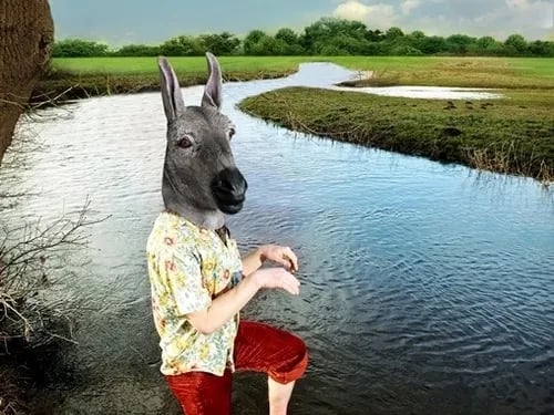 Afbeelding