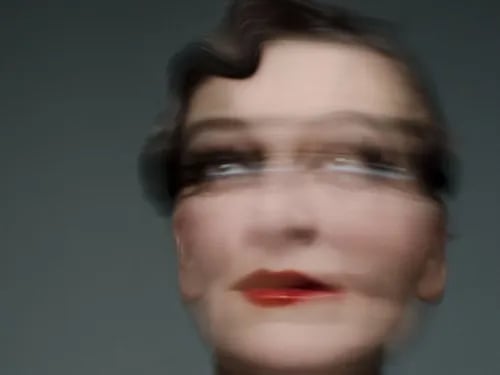 Het vervoegde leven